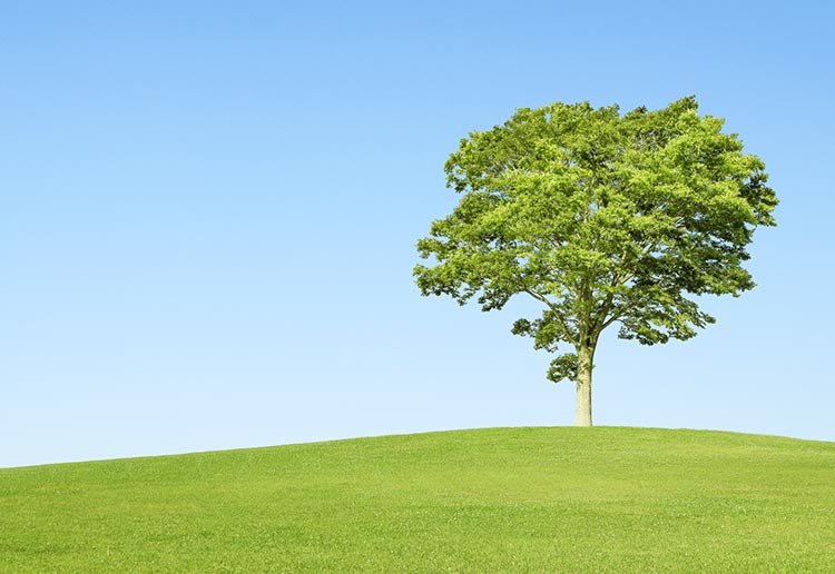 理念のイメージ画像